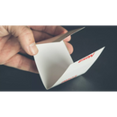 Nexa Lotte Zilvervisjes lokaas lijmval geurloos, 3 stuks.