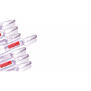 L'ORÉAL PARIS   Revitalift Filler Ampullen, 9.1 ml