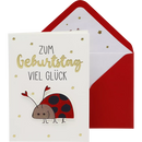 CACTUS Wenskaart verjaardag lieveheersbeestje, 1 st