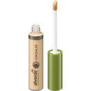 alverde NATURKOSMETIK Correcteur 01 Naturel, 9 ml