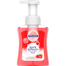 Sagrotan Kersenbloesem & Roos Schuimende Handzeep, 250 ml