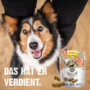 GIMDOG Hondensnack, Train & Treat met zalm & kokos, 125 g