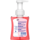 Sagrotan Kersenbloesem & Roos Schuimende Handzeep, 250 ml