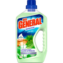 Der General Allesreiniger Aloë Vera, 750 ml