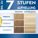 Schwarzkopf Blonde Blonde Lightener L100 Platinum Lightener Ice Blonde