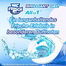 WC-Frisch Nettoyant WC Brilliant Gel Arctic Ocean, 1 pc.