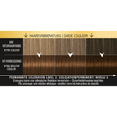 Syoss Oleo Intense Coloration des cheveux châtain doré 4-60, 1 pièce