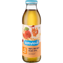 babylove Sap 100 % biologische Milde appel van 5 maanden, 500 ml
