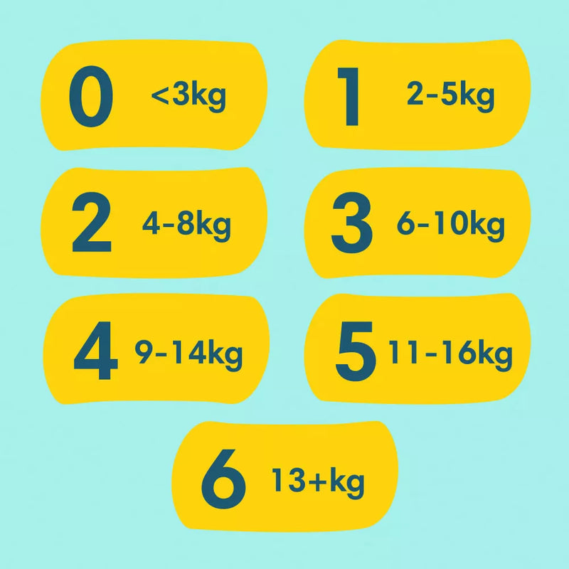 Couches Pampers Premium Protection taille 4 Maxi (9-14 kg), vrac, 58 pièces.