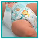 Pampers Luiers Baby-Dry maat 5 Junior, 11-16 kg, maandbox, 144 stuks