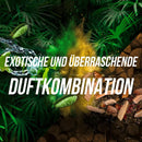 AXE Déodorant spray Mojito Cedarwood sans aluminium, 150 ml