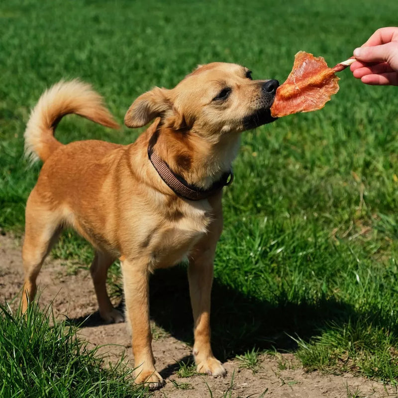 8in1 Snack voor honden, Triple Flavour Wings, 6 stuks