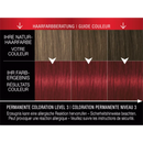Syoss Coloration Professionnelle Performance Rouge Intense 5_29, 1 pc.