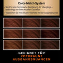 Schwarzkopf Diadem Kit de montage A3 rouge-brun, 1 pièce