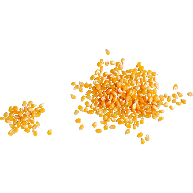 Seeberger Popcorn maïs, 500 g