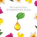 Bougie parfumée AirWick en verre Prairie fleurie 105, 1 pièce