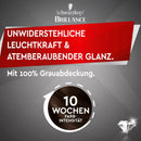 Schwarzkopf Brillance Coloration châtain foncé 880, 1 pièce