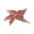 Rouge à lèvres Catrice Shine Bomb 010 Everyday Favorite, 3,5 g