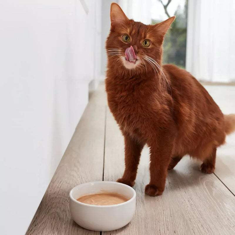 GIMCAT Voedingssupplement voor katten, pudding met calcium, 150 g