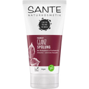 Sante Après-Shampooing Shine Feuille de Bouleau Bio, 150 ml