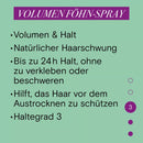 Schwarzkopf taft Spray pour sèche-cheveux VOLUMEN Hold 3, 150 ml