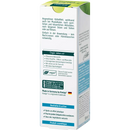 Kneipp Roll On Arnica Rafraîchissant, 50 ml