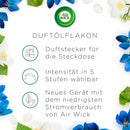 AirWick Geurstokje Viooltjes & Lentefrisheid navulling, 19 ml