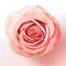 PANTENE PRO-V Shampoo Miracles Volume & Lift, 250 ml