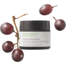 Spilanthox therapy Nachtcrème Extreme Night Repair, 50 ml