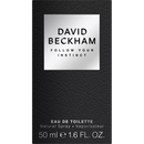 DAVID BECKHAM David Beckham Follow Your Instinct Lim. Edit. EdT 50ml, 50 ml
