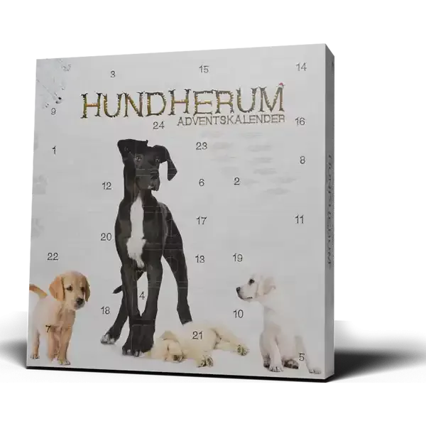 Hundherum Hond Rond Adventskalender 2023