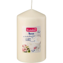 Profissimo Kaars glad 140/80 champagne, 1 st