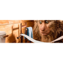 Zewa Toiletpapier Smart 3-laags (8x300 vellen), 8 stuks.