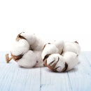 AirWick Recharge de désodorisant Freshmatic Fresh Laundry, 500 ml