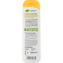 alverde NATURKOSMETIK Gel Douche Familial Time for Joy Bio Mangue Bio Figue, 300 ml