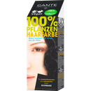 Sante Coloration capillaire végétale noire, 100 g