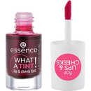 essence Lip & Wang Kleur Wat Een Tint! 01 Kus van een roos, 4.9 ml
