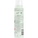 taft Droogshampoo Fresh Wonders, 150 ml