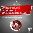 Schwarzkopf Brillance Coloration Cheveux Cachemire Rouge 842, 1 pc.