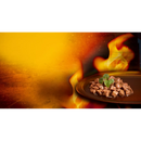 Dein Bestes Nourriture humide pour chats, BBQ, lanières marinées à la dinde en sauce, 100 g