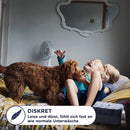 Pantalon de pyjama DryNites pour garçons 3-5 ans, 10 pièces