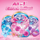 WC-Frisch Toiletreiniger Brilliant Gel Lenteregen, 1 st.