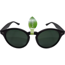 SUNDANCE Zonnebril van gerecycled materiaal in zwart met groenachtige tint, 1 stuk