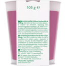 AirWick Geurkaars in glas Blackberry Blossom & Wild Fig, 1 stuk